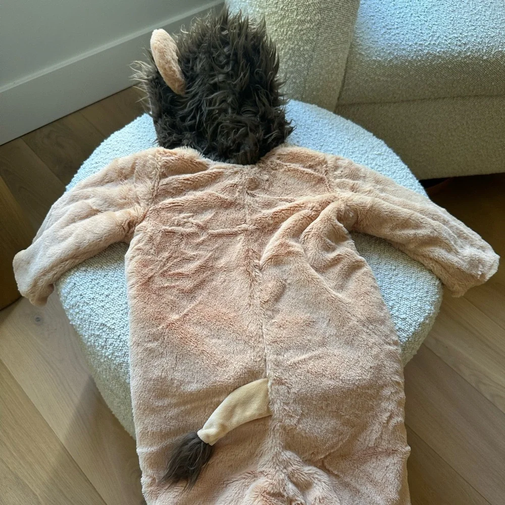Baby Lion costume! Pottery Barn Kids!
